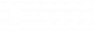 WordPress-logotype-alternative